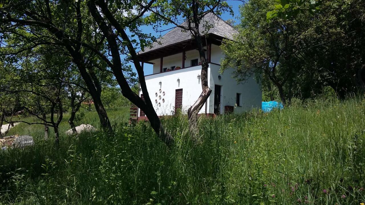 Cottage Poe Poienari Exterior photo