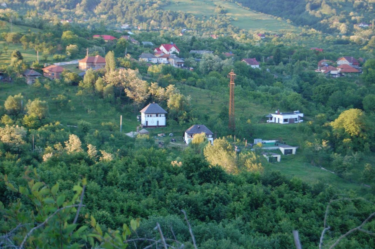 Cottage Poe Poienari Exterior photo