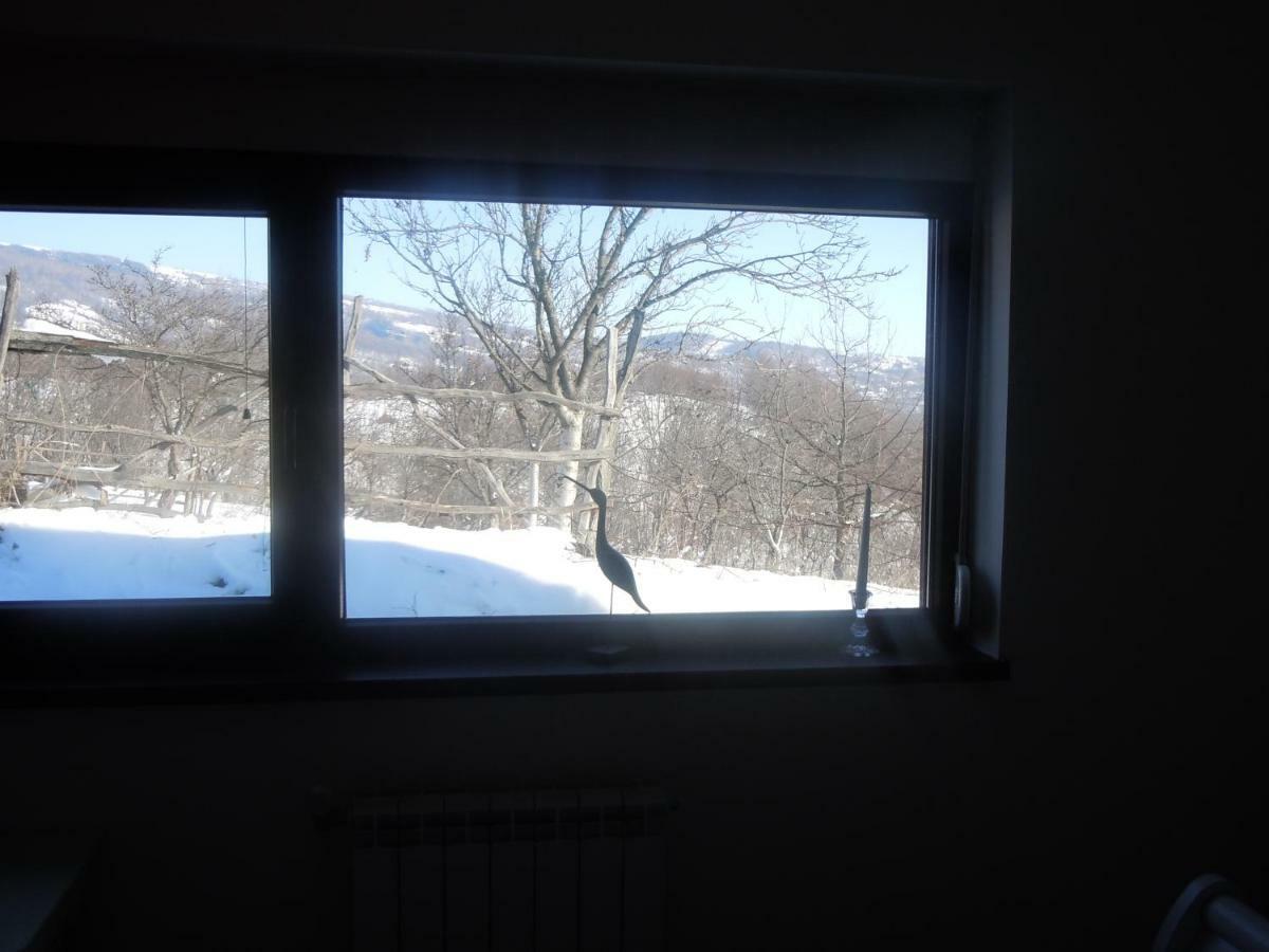 Cottage Poe Poienari Exterior photo